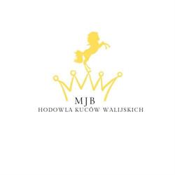 Stajnia Batos, Tuchów godziny otwarcia