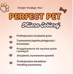 Perfect Pet, Częstochowa godziny otwarcia