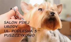 Salon Psiej Urody Gucio, Puszczykowo godziny otwarcia