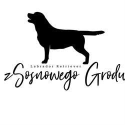 Hodowla labradorów Z Sosnowego Grodu FCI, Józefów godziny otwarcia