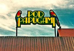 Bar pod Papugami, Władysławowo godziny otwarcia