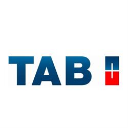 Tab Polska Sp. z o.o. Baterie trakcyjne i akumulatory rozruchowe, Wierzbin godziny otwarcia