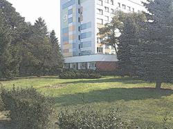 Samorząd Studencki UMK, Toruń godziny otwarcia