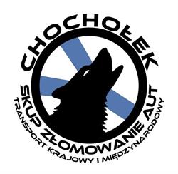 Chochołek Skup Złomowanie Aut, Sosnowiec godziny otwarcia