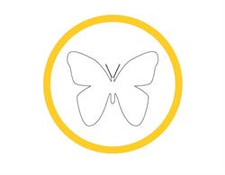 Papillio Group, Zielona Góra godziny otwarcia