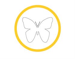 Papillio Group, Zielona Góra godziny otwarcia