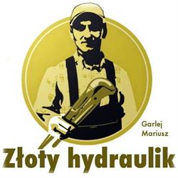 Złoty Hydraulik Gdańsk. Szybka fachowa pomoc!, godziny otwarcia