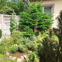 Agroturystyka Pokoje u Eli Noclegi nad jeziorem, Białobrzegi godziny otwarcia
