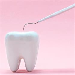 Praktyka Dentystyczna, Zgorzelec godziny otwarcia