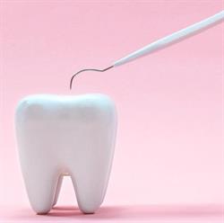 Praktyka Dentystyczna, Zgorzelec godziny otwarcia