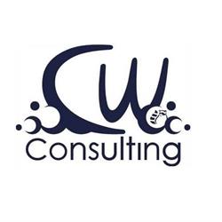 CW Consulting - Budowa Myjni Samochodowych, Włocławek godziny otwarcia