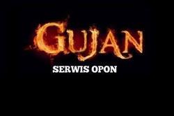 SERWIS OPON Gujan Wulkanizacja, Elbląg godziny otwarcia