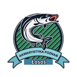 Sklep Rybny Łosoś,Akwarystyka, Poznań godziny otwarcia