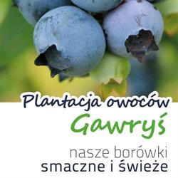 Plantacja Owoców Gawryś, Bełchatów godziny otwarcia