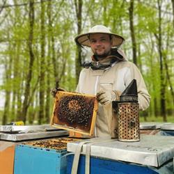 Pasieka Łąkowa - miód i produkty pszczele, Szczepanów godziny otwarcia