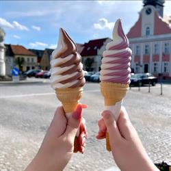 Fabryczka Lodów, Rydzyna godziny otwarcia