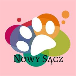 Daisy Sklep Zoologiczna, Nowy Sącz godziny otwarcia