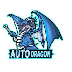 AUTO DRAGON, Cisiec godziny otwarcia