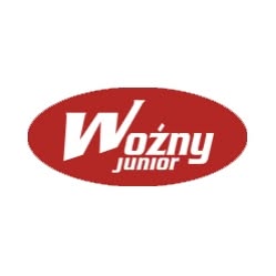 Kotły i Piece Pleszew - Woźny Junior, Suchorzew godziny otwarcia