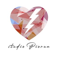Piorun Studio fotograficzno-filmowe, Łódź godziny otwarcia