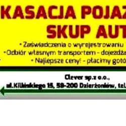 Clever sp. z o.o., Dzierżoniów godziny otwarcia