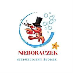 Niepubliczny Żłobek Nieboraczek, Szczecin godziny otwarcia