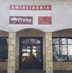 Kwiaciarnia Protea, Nysa godziny otwarcia