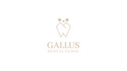 DENTYSTA Wołów Gallus Dental Clinic, godziny otwarcia
