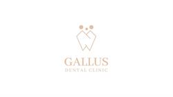DENTYSTA Wołów Gallus Dental Clinic, godziny otwarcia