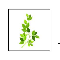Natura Uroda & Relaks, Ciechocinek godziny otwarcia