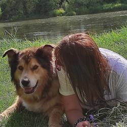 Przystanek pod skałkami, Lesko godziny otwarcia