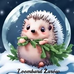 Loombard Żarów, godziny otwarcia