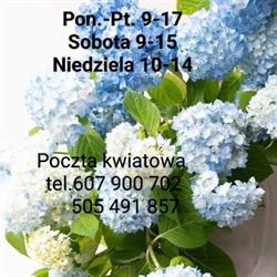 Kwiaciarnia i Usługi Pogrzebowe pod Aniołem, Olecko godziny otwarcia