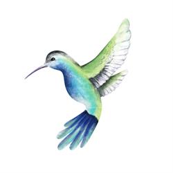 Colibri Makijaż Permanentny Aleksandra Ryżewska, Białystok godziny otwarcia