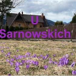 Pokoje U Sarnowskich, Kościelisko godziny otwarcia