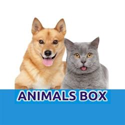 Animals Box Mielec, godziny otwarcia