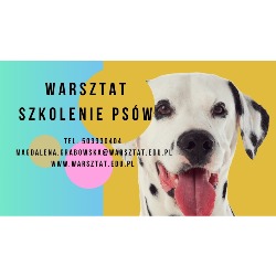 Warsztat - Psie przedszkole Szkolenie psów Behawiorysta, Katowice godziny otwarcia