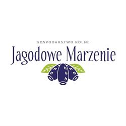 Jagodowe Marzenie Gospodarswo Rolne, Brzeźno Lęborskie godziny otwarcia