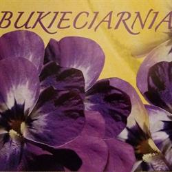 KWIACIARNIA BUKIECIARNIA WIĄZANKI BUKIETY ŚLUBNE WIEŃCE, Częstochowa godziny otwarcia