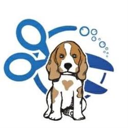 Puppy Psalon, Białystok godziny otwarcia