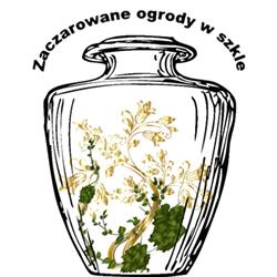 Zaczarowane ogrody w szkle, Bielsko-Biała godziny otwarcia
