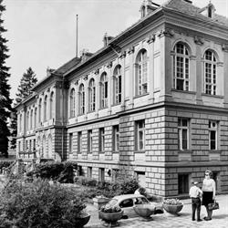 Kawiarnia Twórczości Piwnica Pod Adamem, Lądek-Zdrój godziny otwarcia