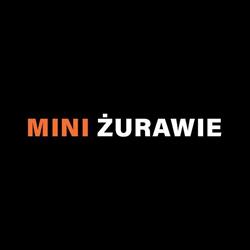 MINI ŻURAWIE - wynajem sprzętu do szklenia, Jędrzejów godziny otwarcia