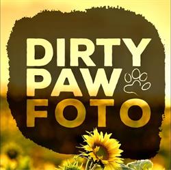 Dirty Paw Fotografia, Wiry godziny otwarcia