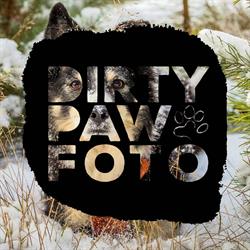 Dirty Paw Fotografia, Wiry godziny otwarcia