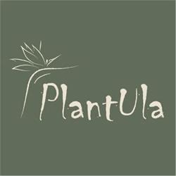 Plantula, Warszawa godziny otwarcia