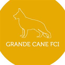 GRANDE CANE FCI, Wodzisław Śląski godziny otwarcia
