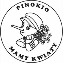 Pinokio, Rybnik godziny otwarcia