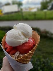 Lody z Czernichowa i Gofry, Skawina godziny otwarcia