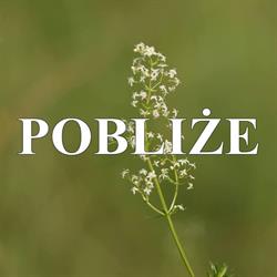 Fundacja Działań Lokalnych Pobliże, Warszawa godziny otwarcia